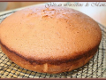  : gâteau mousseline en cocotte 