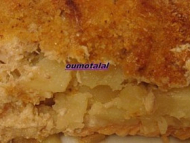 Recette poissons aux fenouil
