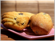 Recette madeleines dodues aux pépites de chocolat