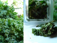 Recette chips de kale