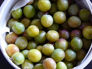 Recette confiture de mirabelles vanillée