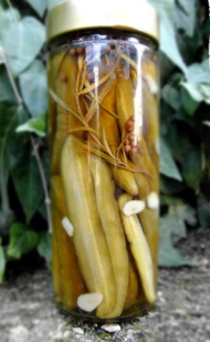 Recette comcombres marinés au vinaigre au miel