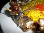 Recette sardines roulées et épicées au four