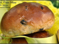 dessert : hot cross buns ou brioches anglaises de pâques