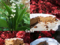 gâteau du 1er mai au sirop d’airelles