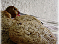 cookies à la pâte de speculoos