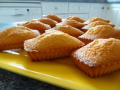 financiers