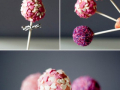 dessert : cake pops de st valentin