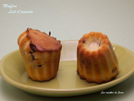 Recette muffins au lait d’amande et mélange raisins cranberrys